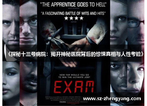 《探秘十三号病院：揭开神秘医院背后的惊悚真相与人性考验》